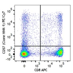 Biolegend PE/Cyanine7 anti-human CD57, Quantity: Each of 1