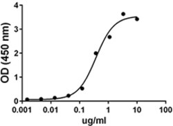 Biolegend Recombinant HU B7-H1 (PD-L1, CD274)-Fc Chimera (CF), Quantity: