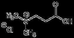 AdipoGen Dimethylsulfoniopropionate (DMSP) . Hydrochloride, Quantity: Each
