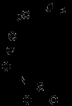 AdipoGen (-)-(8,8-Dichlorocamphorylsulfonyl) oxaziridine, 139628-16-3,