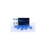 Agilent Technologies XL1-Blue Competent Cells. 5 x 0.2 mL. For