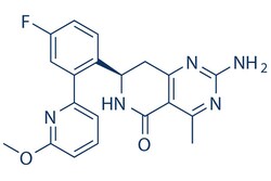 Selleck Chemical LLC HSP990 (NVP-HSP990) 100mg 934343-74-5, Quantity: Each