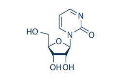 Selleck Chemical LLC&nbsp;Zebularine