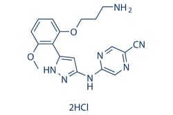 Selleck Chemical LLC&nbsp;Prexasertib HCl (LY2606368) 25mg 1234015-54-3