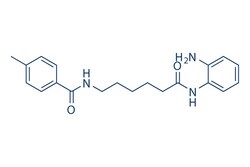 Selleck Chemical LLC RG2833 (RGFP109) 10mg 1215493-56-3, Quantity: Each