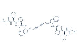 Selleck Chemical LLC AZD5582 5mg 1258392-53-8, Quantity: Each of 1