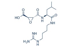 Selleck Chemical LLC&nbsp;E-64 10mg 66701-25-5
