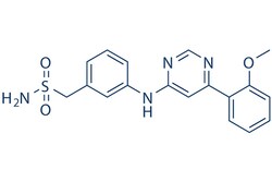 Selleck Chemical LLC LDC000067 10mg 1073485-20-7 LDC067, Quantity: Each