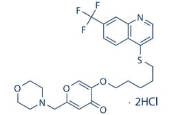 Selleck Chemical LLC EHT 1864 2HCl 10mg 754240-09-0, Quantity: Each of