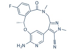 Selleck Chemical LLC Lorlatinib(PF-6463922) 5mg 1454846-35-5, Quantity: