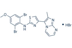Selleck Chemical LLC&nbsp;PTC-209 HBr 5mg 1217022-63-3
