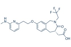 Selleck Chemical LLC SB273005 5mg 205678-31-5, Quantity: Each of 1