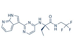 Selleck Chemical LLC Decernotinib (VX-509) 2mg 944842-54-0, Quantity: Each