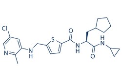 Selleck Chemical LLC GSK2830371 10mg 1404456-53-6, Quantity: Each of 1