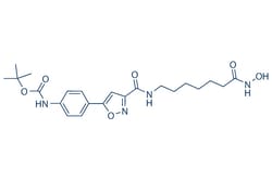 Selleck Chemical LLC CAY10603 5mg 1045792-66-2, Quantity: Each of 1