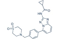 Selleck Chemical LLC Filgotinib (GLPG0634) 25mg 1206161-97-8, Quantity: