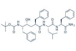Selleck Chemical LLC L-685,458 1mg 292632-98-5, Quantity: Each of 1