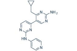Selleck Chemical LLC PIK-III 5mg 1383716-40-2 VPS34-IN2, Quantity: Each