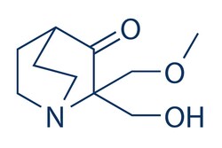 Selleck Chemical LLC APR-246 (PRIMA-1MET) 5mg 5291-32-7, Quantity: Each
