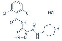 Selleck Chemical LLC&nbsp;AT7519 HCl 5mg 902135-91-5