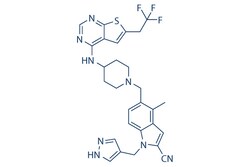 Selleck Chemical LLC MI-503 2mg 1857417-13-0, Quantity: Each of 1