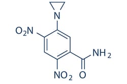 Selleck Chemical LLC CB1954 10mg 21919-05-1 Tretazicar, Quantity: Each