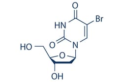 Selleck Chemical LLC Bromodeoxyuridine (BrdU) 200mg 59-14-3