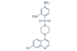 Selleck Chemical LLC VR23 5mg 1624602-30-7, Quantity: Each of 1