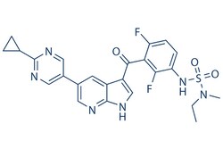 Selleck Chemical LLC PLX7904 5mg 1393465-84-3 PB04, Quantity: Each of 1