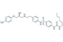 Selleck Chemical LLC L755507 5mg 159182-43-1, Quantity: Each of 1