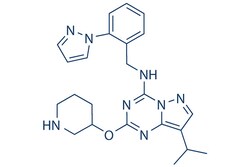Selleck Chemical LLC LDC4297 (LDC044297) 5mg 1453834-21-3, Quantity: Each