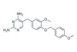 Selleck Chemical LLC GW2580 25mg 870483-87-7 SC-203877, Quantity: Each