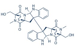 Selleck Chemical LLC Chaetocin 1mg 28097-03-2, Quantity: Each of 1