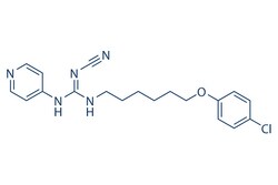 Selleck Chemical LLC GMX1778 (CHS828) 10mg 200484-11-3, Quantity: Each