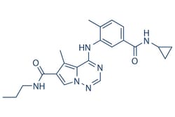 Selleck Chemical LLC BMS-582949 1mg 623152-17-0 PS540446, Quantity: Each