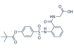 Selleck Chemical LLC&nbsp;Sivelestat (ONO-5046) 10mg 127373-66-4 ONO5046, LY544349, EI546