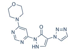 Selleck Chemical LLC Molidustat (BAY 85-3934) 5mg 1154028-82-6, Quantity:
