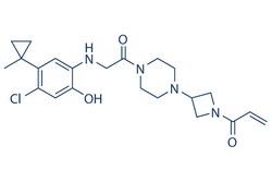 Selleck Chemical LLC ARS-853 (ARS853) 1mg 1629268-00-3, Quantity: Each