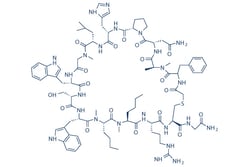 Selleck Chemical LLC PD-1/PD-L1 Inhibitor 3 1mg 1629654-95-0, Quantity: