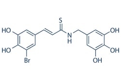 Selleck Chemical LLC NT157 2mg 1384426-12-3, Quantity: Each of 1