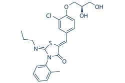 Selleck Chemical LLC Ponesimod 5mg 854107-55-4 ACT-128800, Quantity: Each