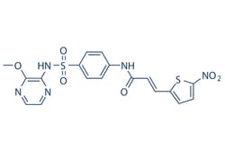 Selleck Chemical LLC Necrosulfonamide 10mg 1360614-48-7, Quantity: Each