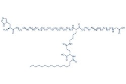 Selleck Chemical LLC Liraglutide, Quantity: Each of 1