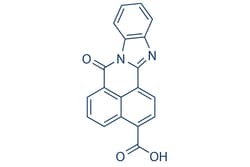 Selleck Chemical LLC STO-609 5mg 52029-86-4, Quantity: Each of 1