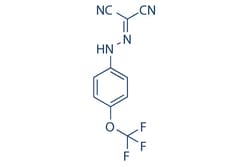 Selleck Chemical LLC FCCP 10mg 370-86-5 Trifluoromethoxy carbonylcyanide
