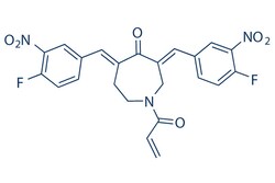 Selleck Chemical LLC VLX1570 5mg 1431280-51-1, Quantity: Each of 1