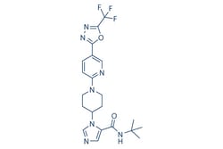 Selleck Chemical LLC WNK463 5mg 2012607-27-9, Quantity: Each of 1