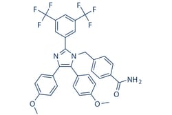 Selleck Chemical LLC Apoptozole 10mg 1054543-47-3 Apoptosis Activator VII,