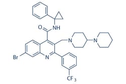 Selleck Chemical LLC GSK2193874 10mg 1336960-13-4, Quantity: Each of 1