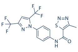 Selleck Chemical LLC YM-58483 (BTP2) 100mg 223499-30-7, Quantity: Each